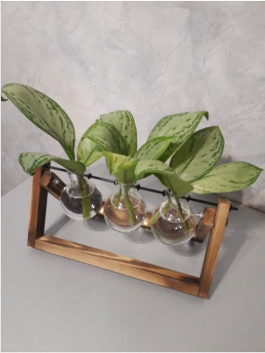 Karine - Glass and Wood Vase — customer photo by Cathleen M.