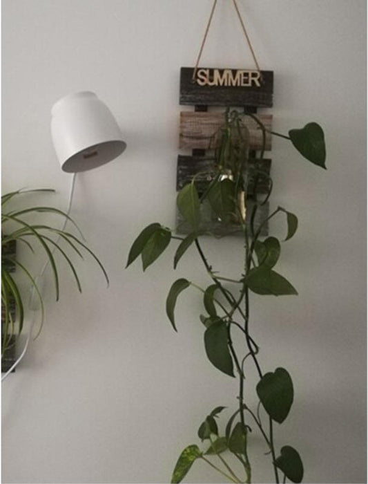 Oona - Nordic Plug in Wall Sconce — customer photo by Theresa B.