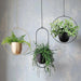 Gudrun - Metal Hanging Pot  BO-HA   