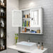 Trygve - Bathroom Wall Cabinets Bathroom Storage Cabinets  BO-HA   