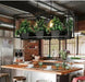 Hemma -  Iron Garden Planter Light Chandelier  BO-HA   