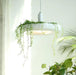 Lagerfeld - Nordic Pendant Planter Light  BO-HA   
