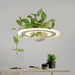 Ragna - Planter Light Table Pendant  BO-HA   