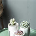 Ida - Ceramic Flower Planters with Modern Stand  BO-HA   